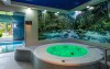 Wellness, Krasicki Resort & Spa ***, Świerad